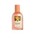 Eau de toilette-Persika 100 ml