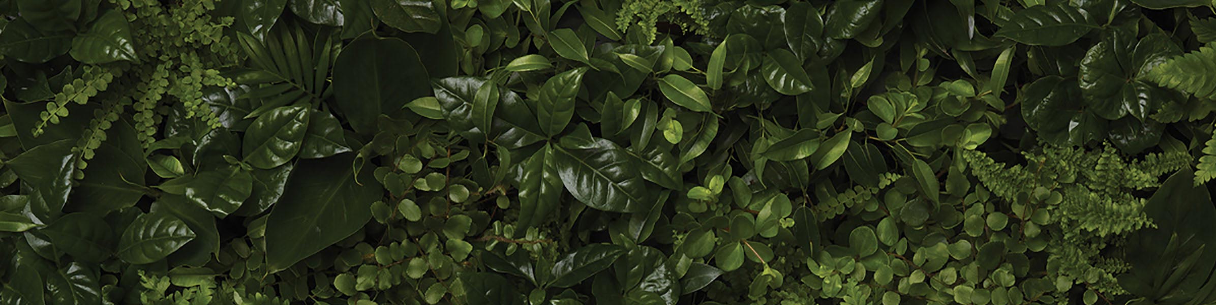 Ett fel inträffade, var god försök igen senare.