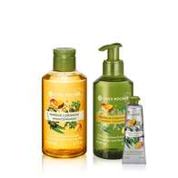 Set - Mango Koriander (Handtvål, duschgel & handkräm)